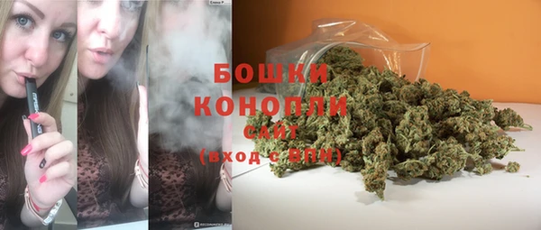 PSILOCYBIN Балахна