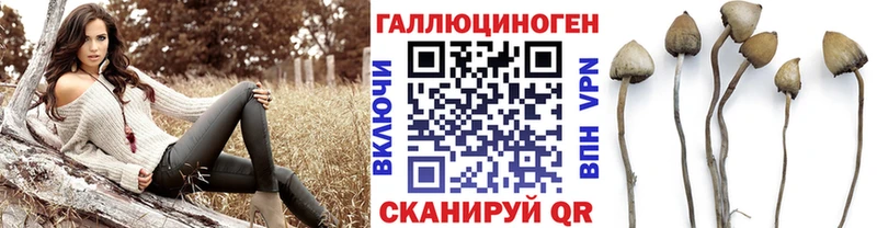 ОМГ ОМГ ССЫЛКА  Усть-Катав  площадка состав  Галлюциногенные грибы прущие грибы 